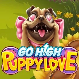 game logo by RubyPlay on casinachoo.net